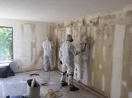 Trusted Willacoochee, GA Mold Removal Services Experts